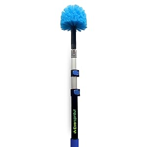 eversprout cobweb duster with extension pole