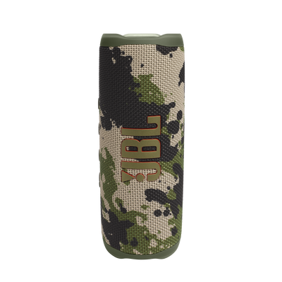 JBL Flip 6