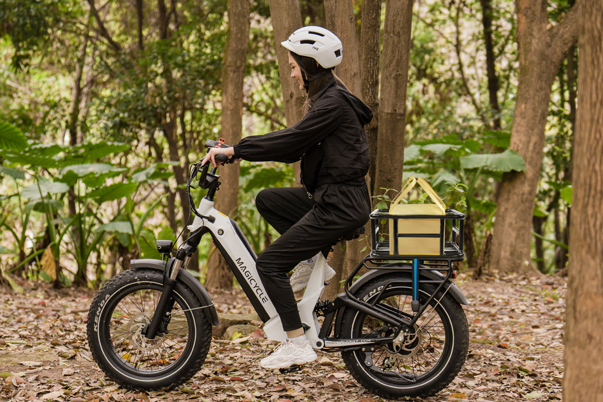 Large Ebike Rear Basket with Liner & Cargo Net、mySite、bearsvspackers