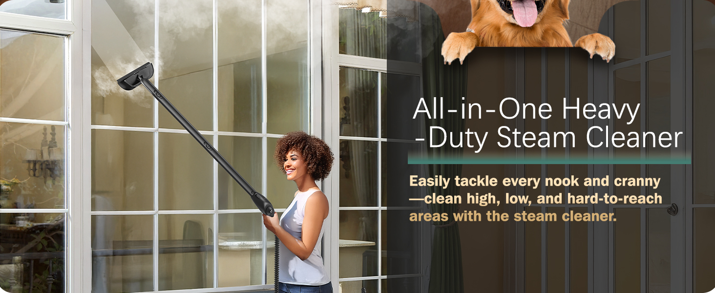 steam cleaner