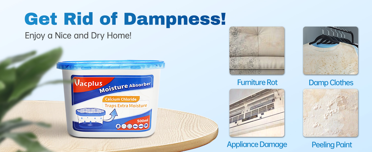 Get Rid Of dampnss