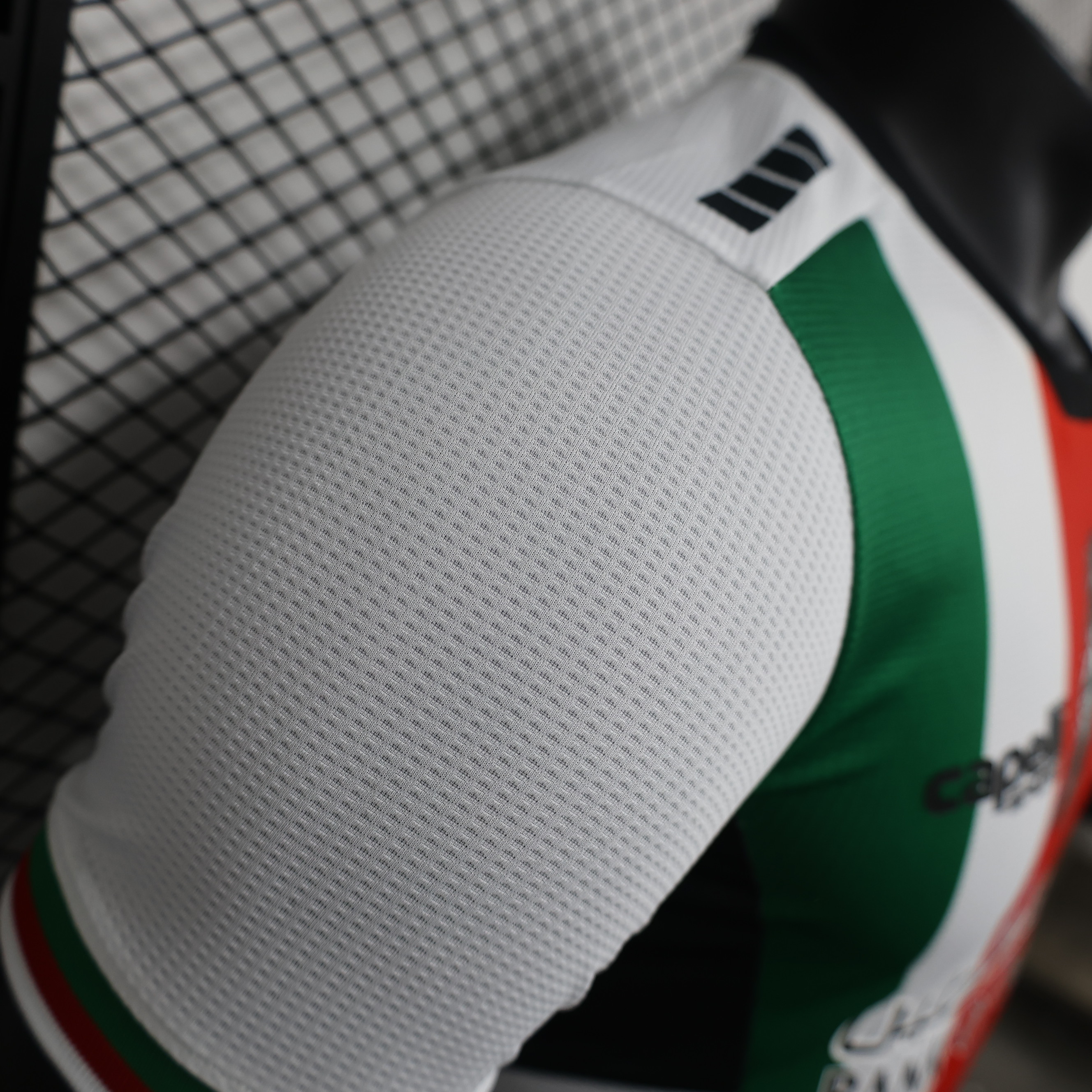 Higojerseys-Club Deportivo Palestino 2024 Home Jersey - Player Version