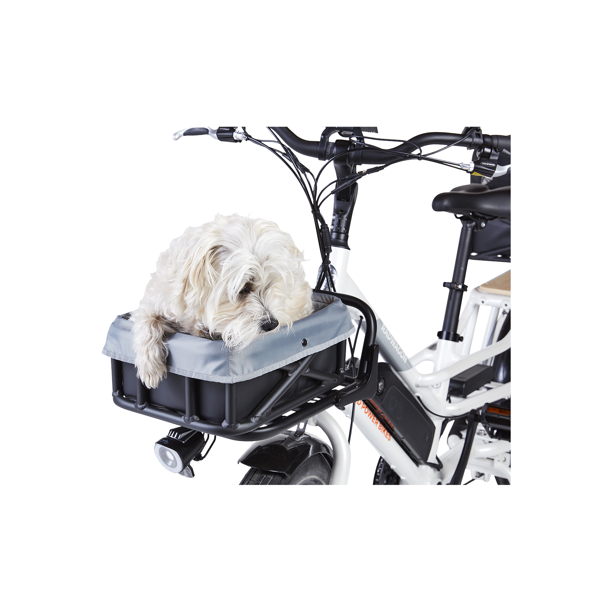 Pet Basket Liner、mySite、bearsvspackers