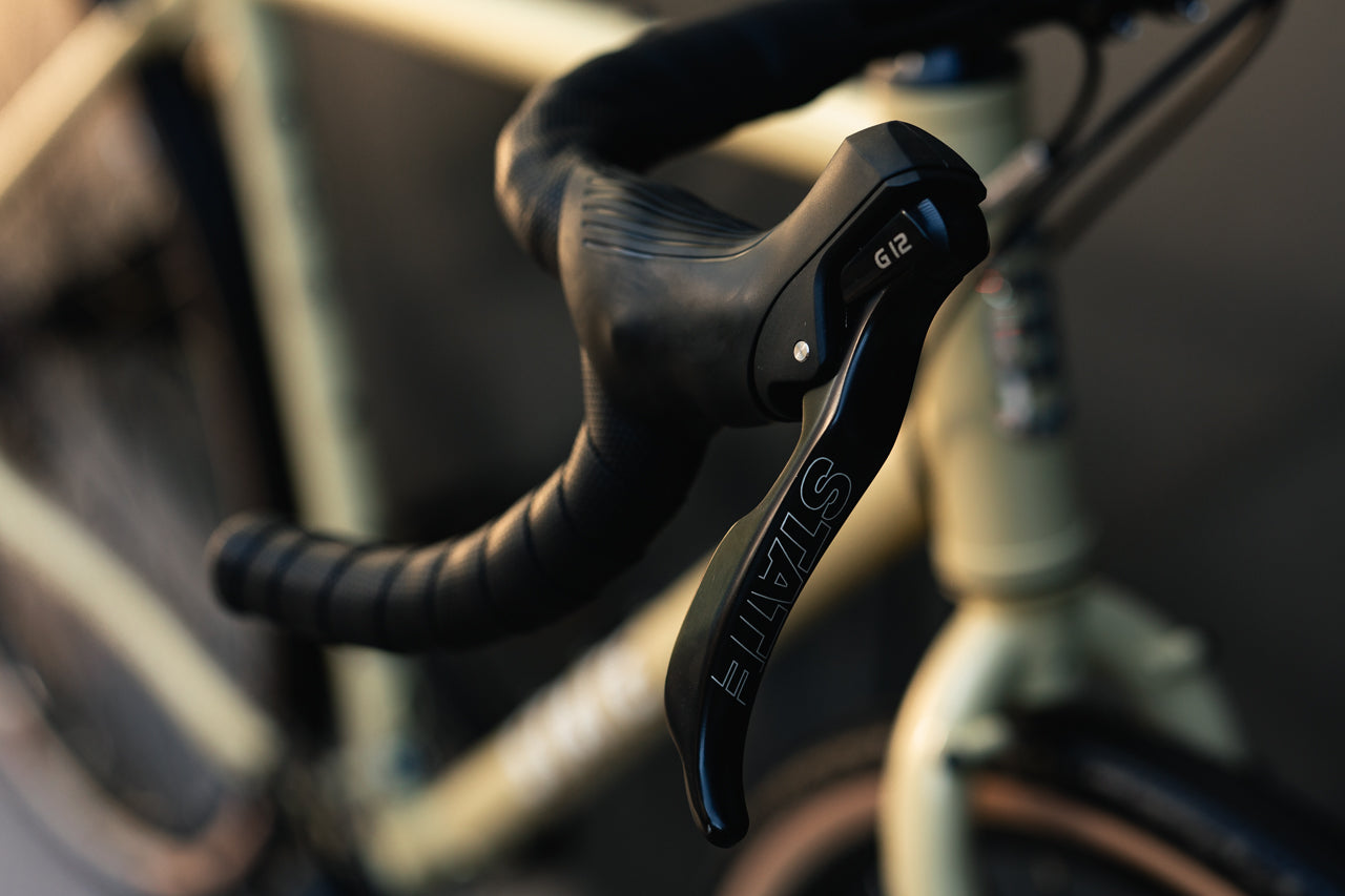 4130 All-Road - Dromedary Tan (12 Speed / UDH)、mySite、bearsvspackers