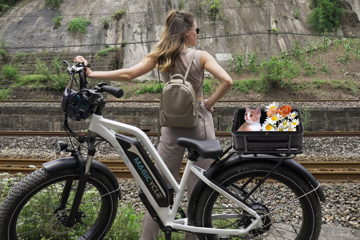 Large Ebike Rear Basket with Liner & Cargo Net、mySite、bearsvspackers