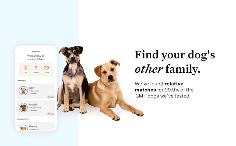 Wisdom Panel Essential Dog DNA test