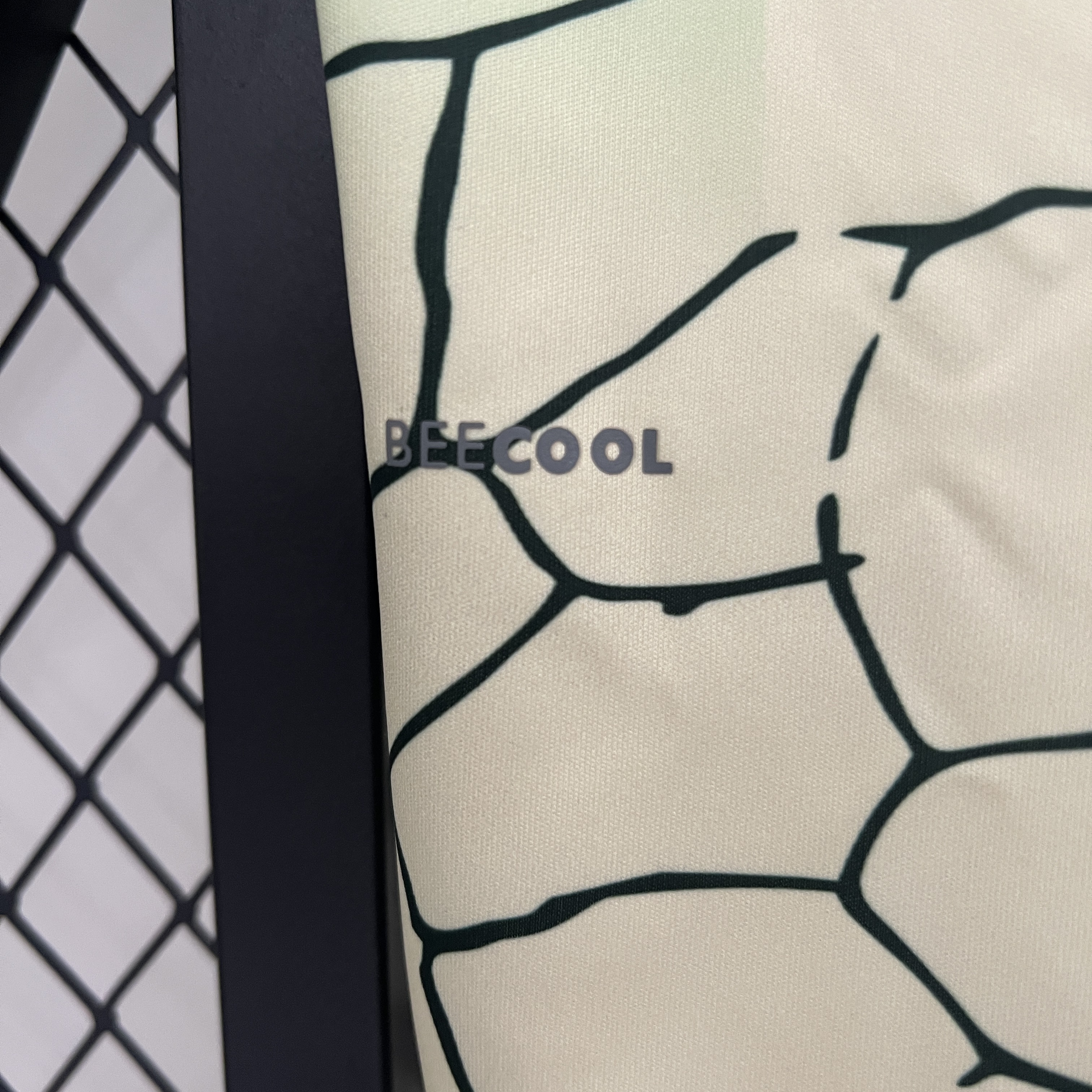 foot-Real Betis 24-25 Special Edition Jersey - Fans Version