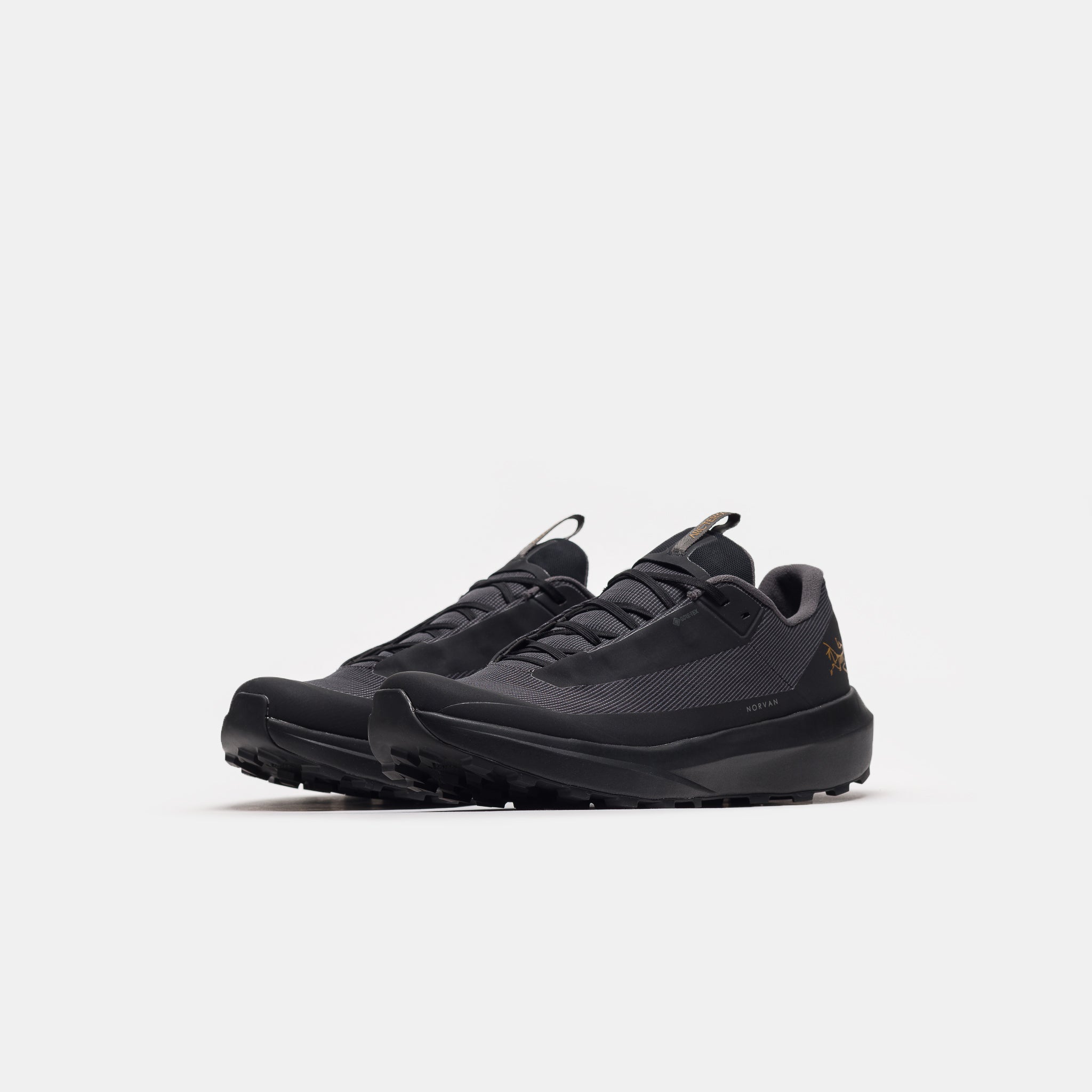 Norvan LD 4 Gore-Tex Sneaker in Black/Black
