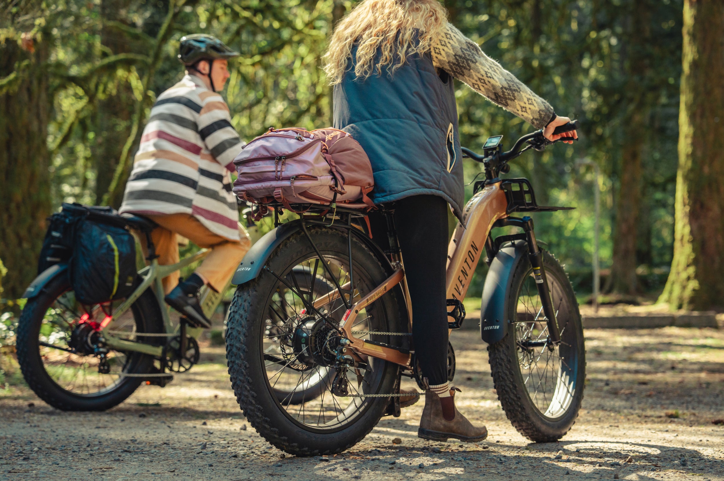 Aventure 3 Step Through Ebike、mySite、bearsvspackers