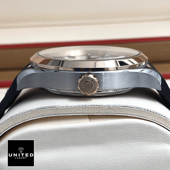 Omega Seamaster Stainless Steel Crown Replica in the box