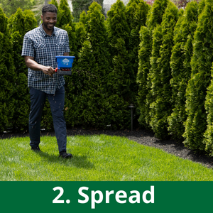 jonathan green black beauty ultra grass seed lawn care yard
