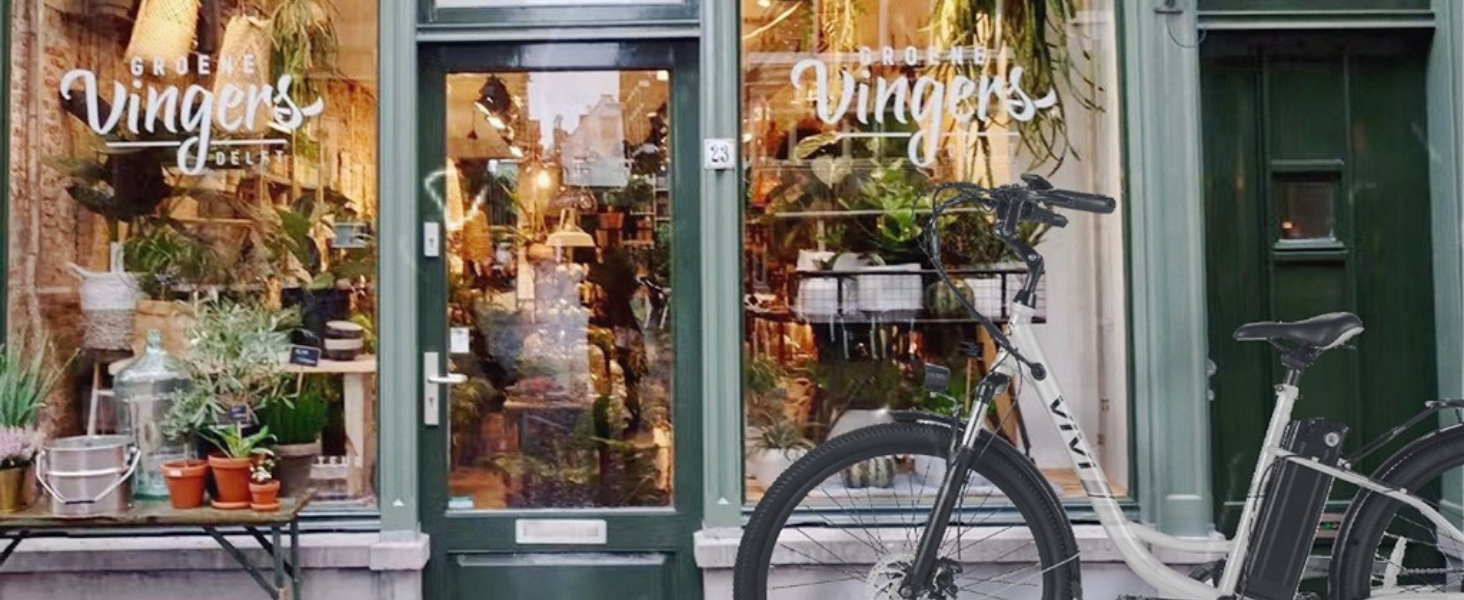 Electric Bicycle for Adults