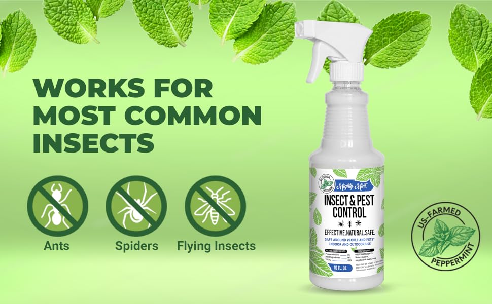 Works for most common insects