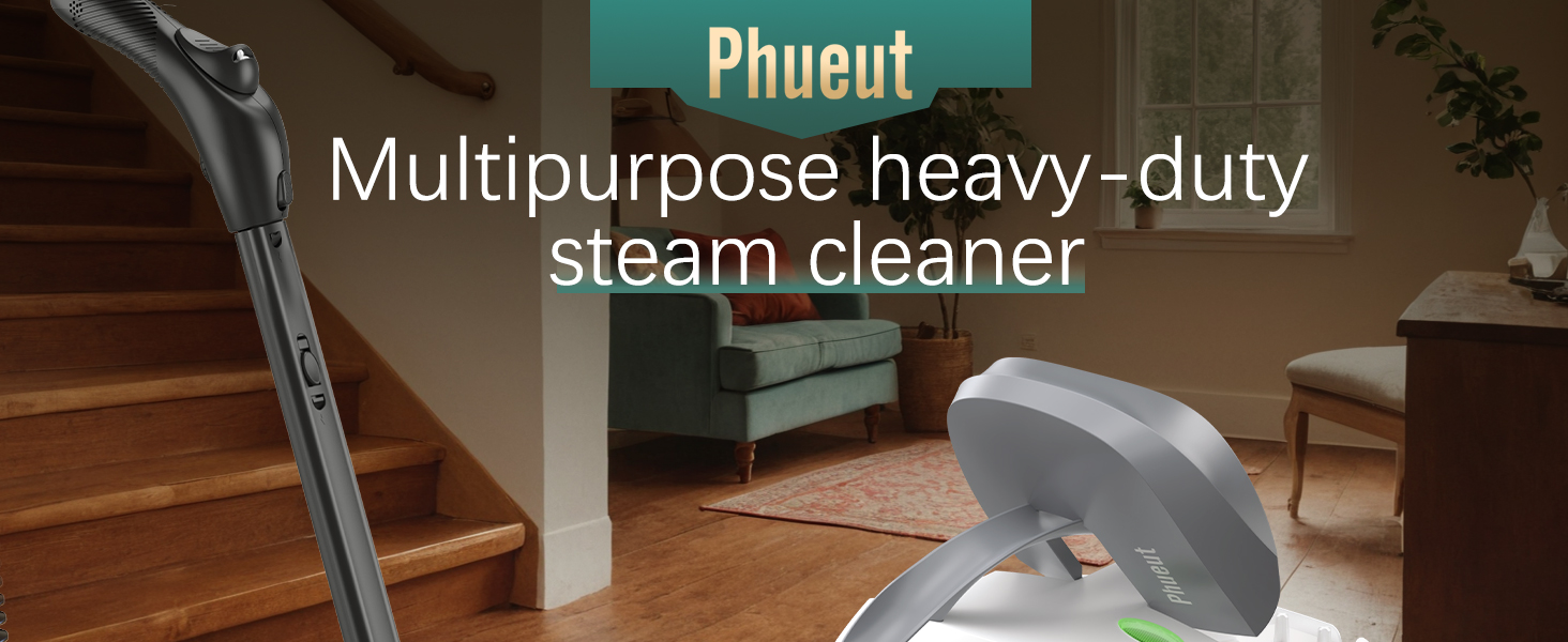 steam cleaner