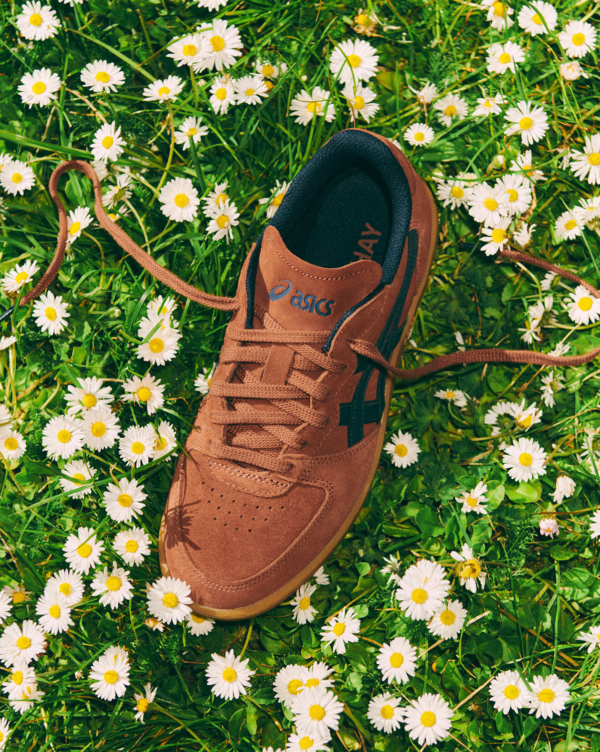 Asics x Hay Skyhand OG、mysite、Cacoeks