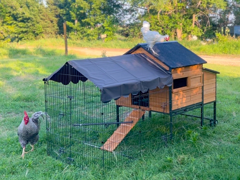 chicken coop