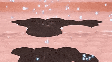 JEREMYTIS™ Herbal Spots Peel-Off Facial Mask