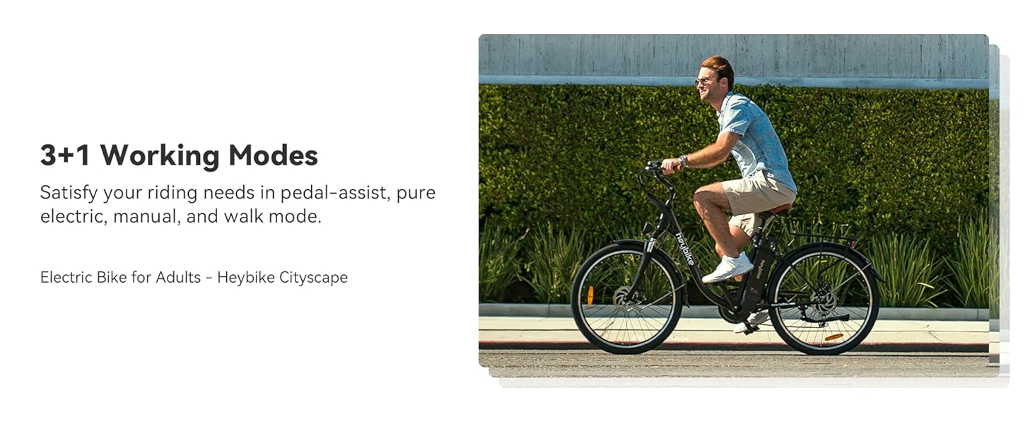 electric bike