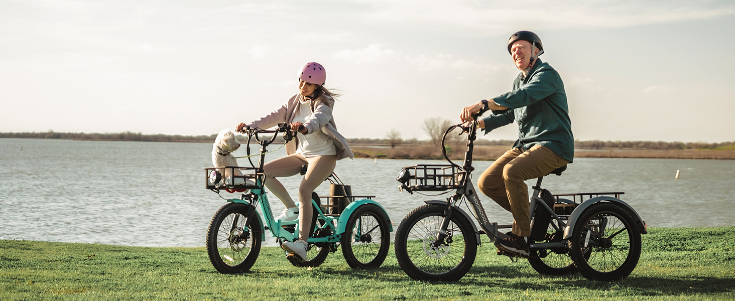 electric tricycle