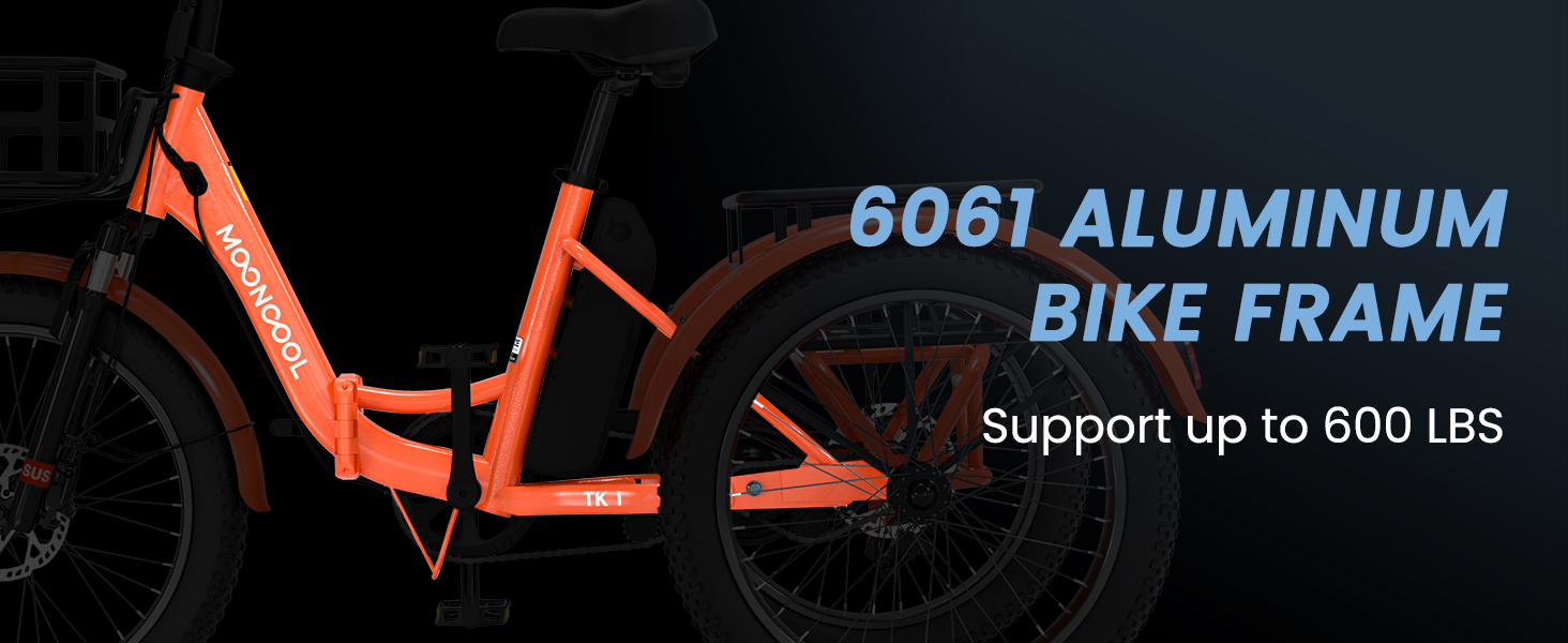 electric tricycle