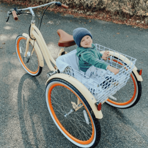 EVRY_journey_250W_Electric_Tricycle_Baby