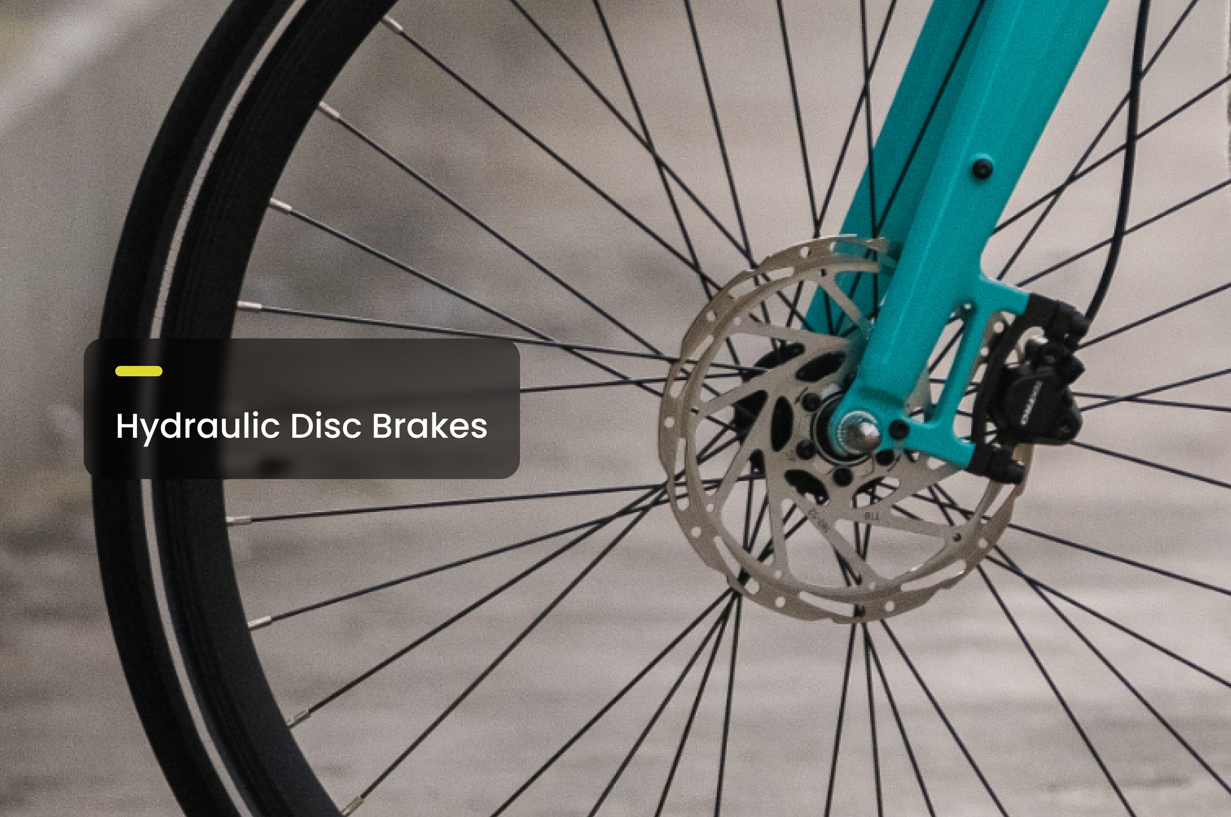 Soltera 2.5 Ebike、mySite、bearsvspackers