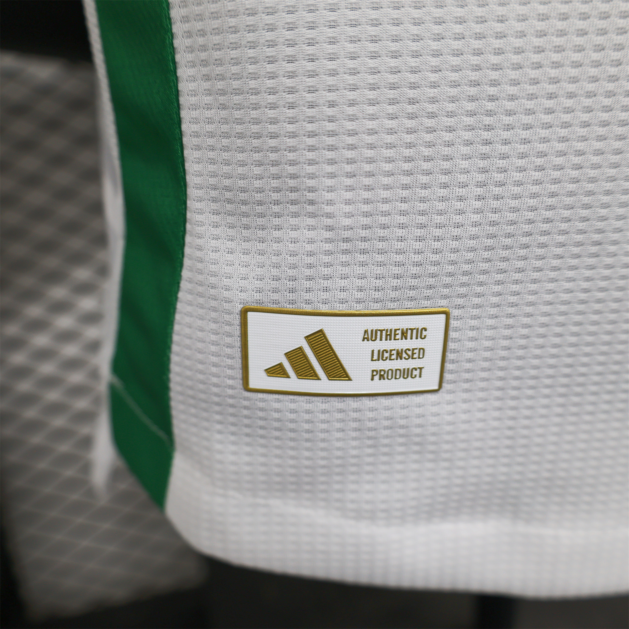 ManixJersey.com | Al-Ahli SFC Jeddah Nationals 24-25 Home Jersey - Player Version -Customize Name, Number and Patch | Worldwide Shipping
