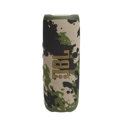 JBL Flip 6