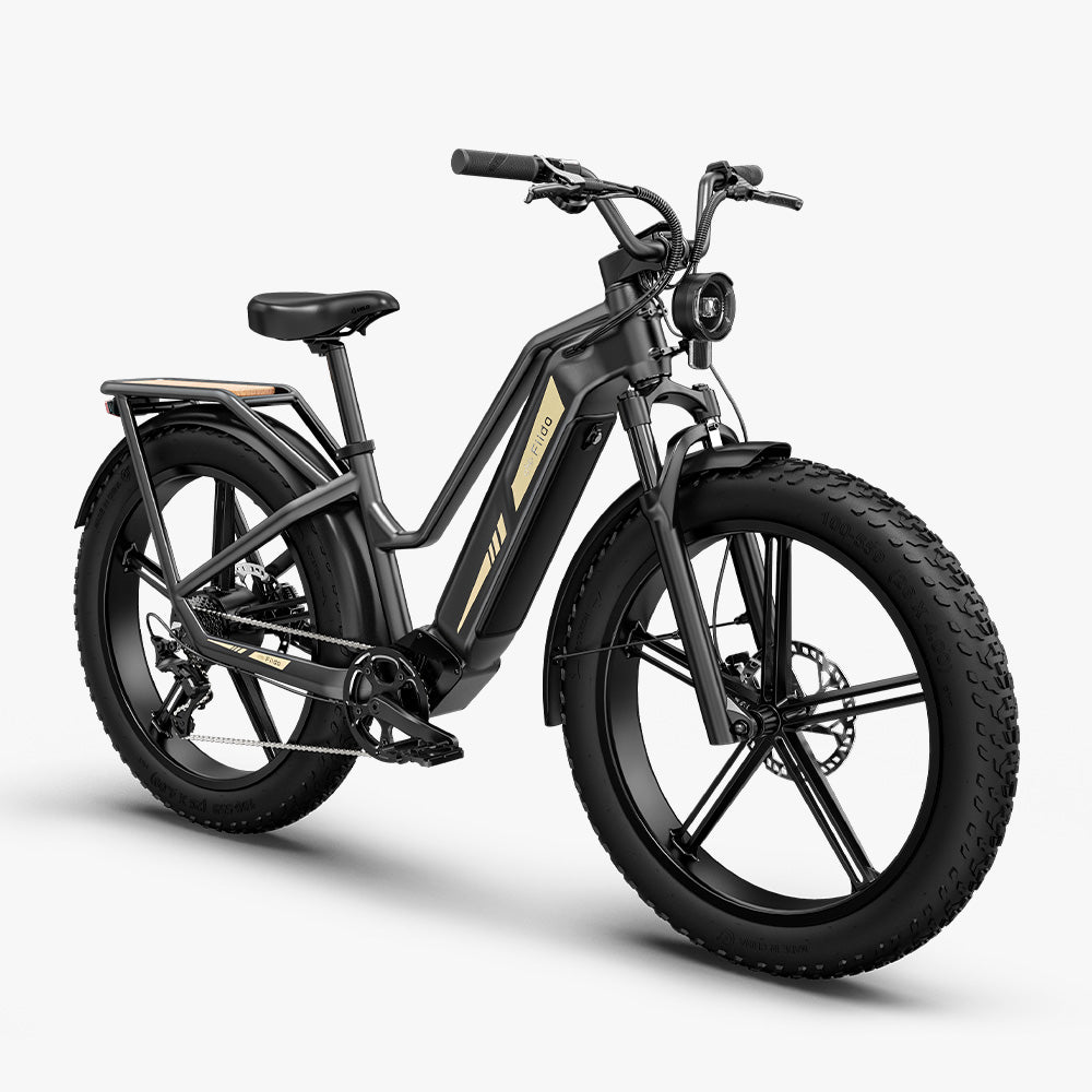 Titan Fat Tire Touring Ebike - Long Range、mySite、bearsvspackers