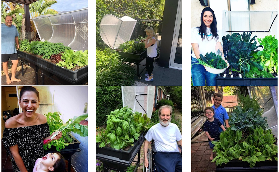Vegepod, Customers, Raised Garden Beds