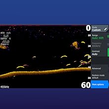 DOWNSCAN WITH FISHREVEAL