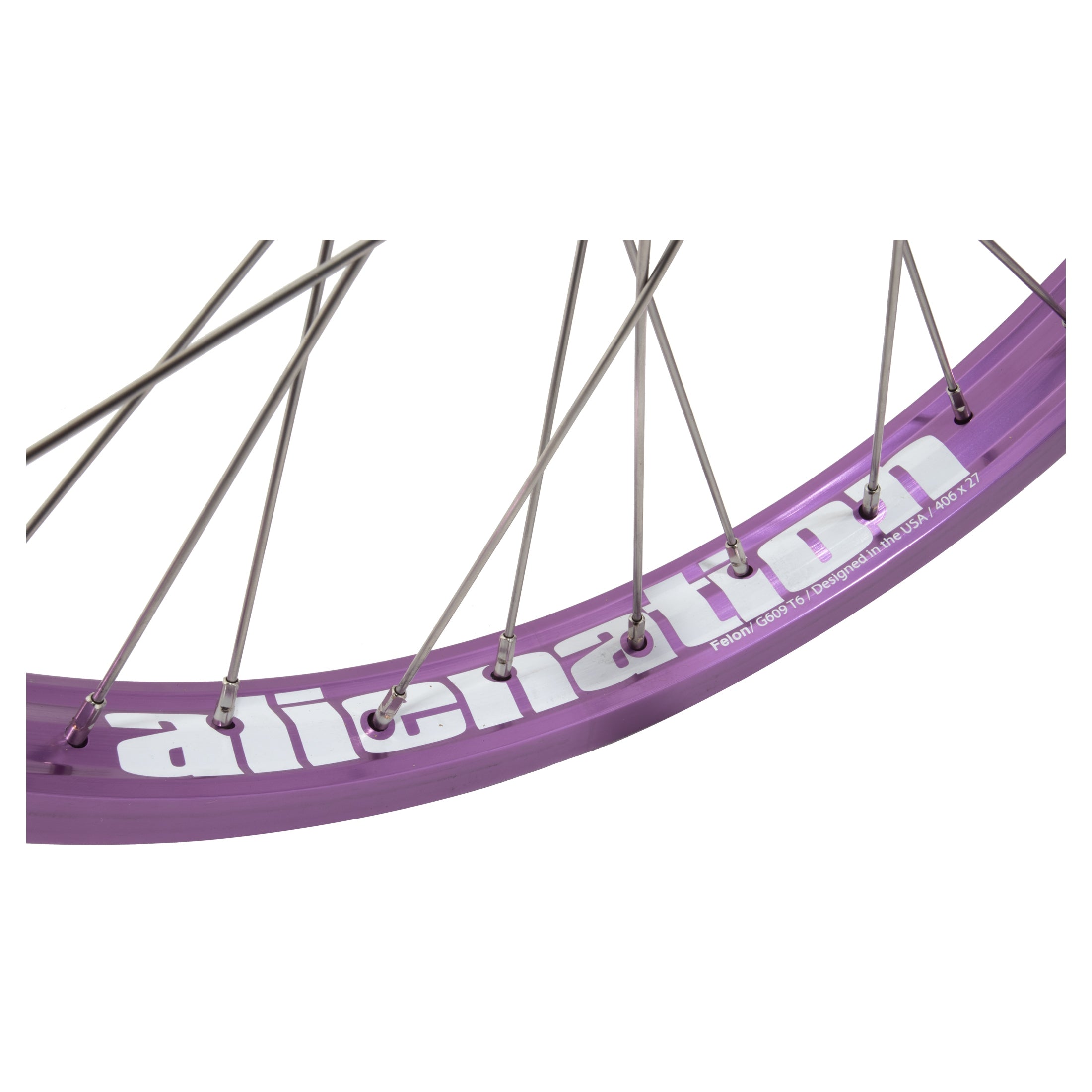 Felon / Illuminati、mySite、bearsvspackers