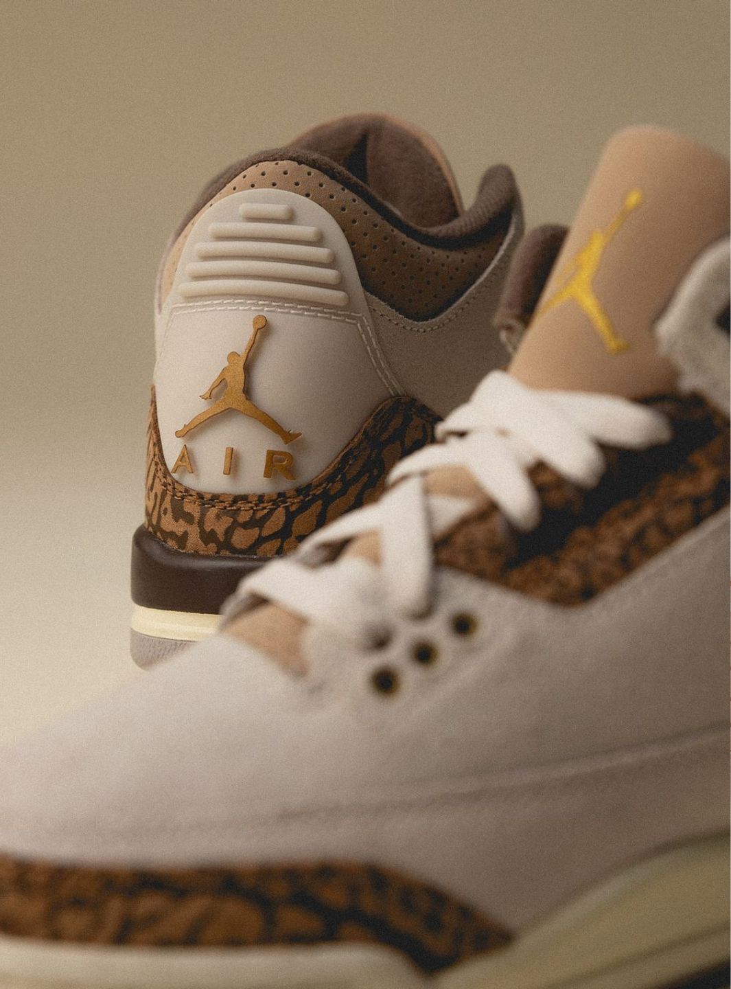 Air Jordan 3 Palomino、JORDAN、Cacoeks