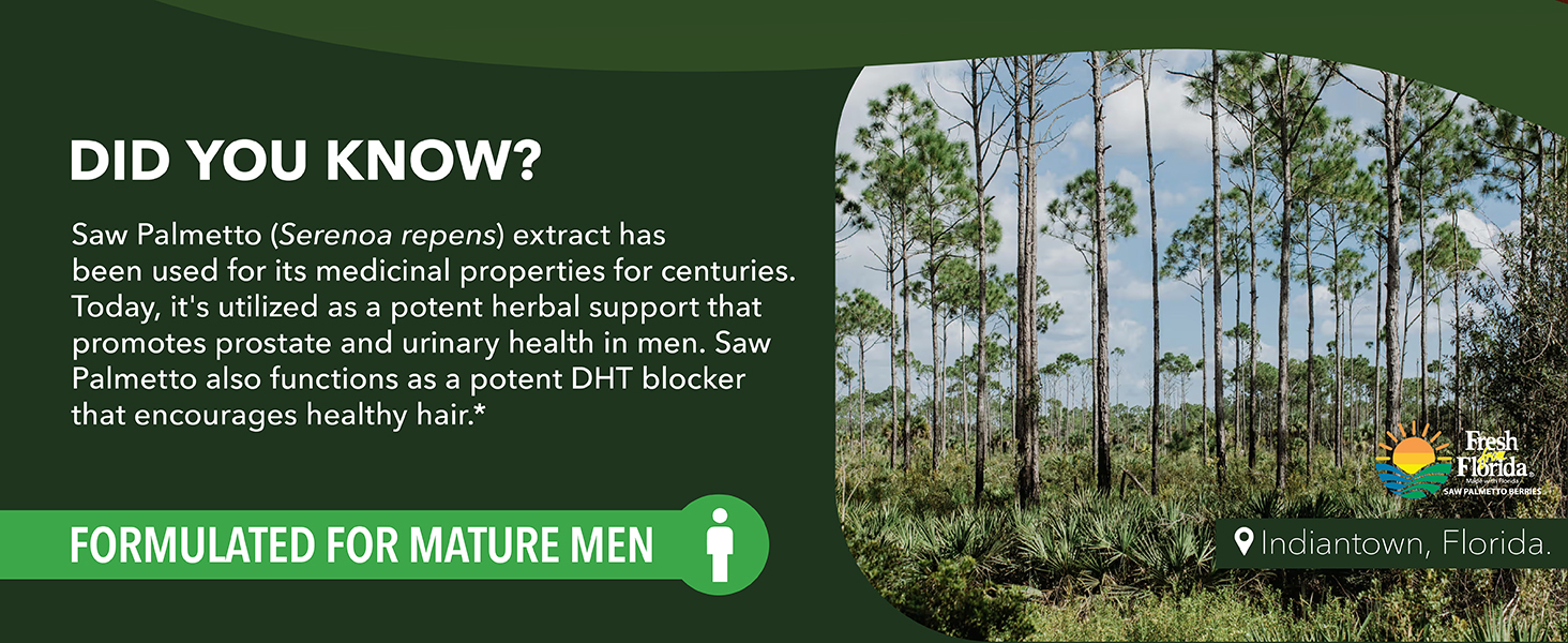 organic saw palmetto for men saw palmetto prostate support saw palmetto 320 mg for men