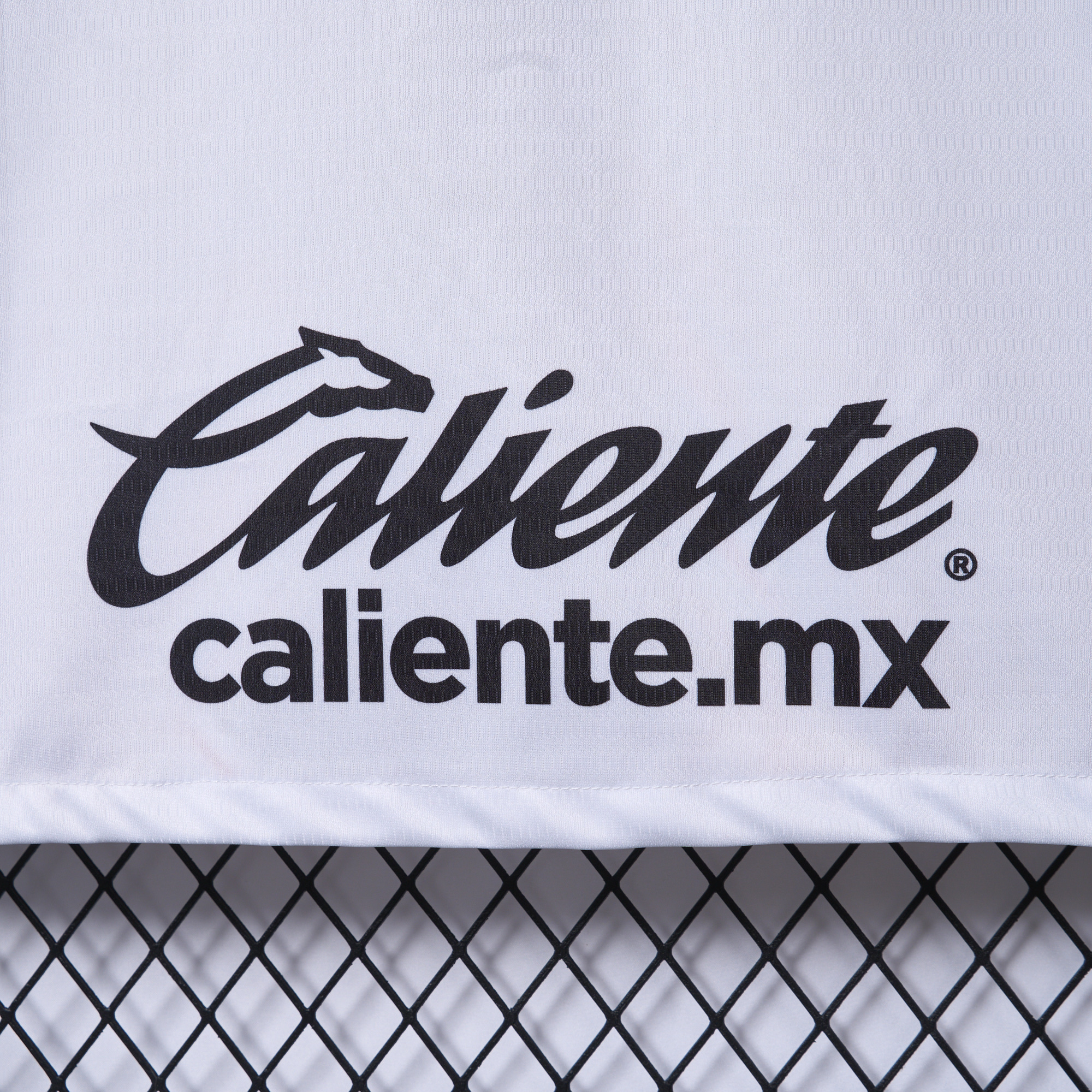 Higojerseys-Toluca 24-25 Away Jersey - Fans Version