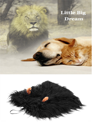 dog dreams 