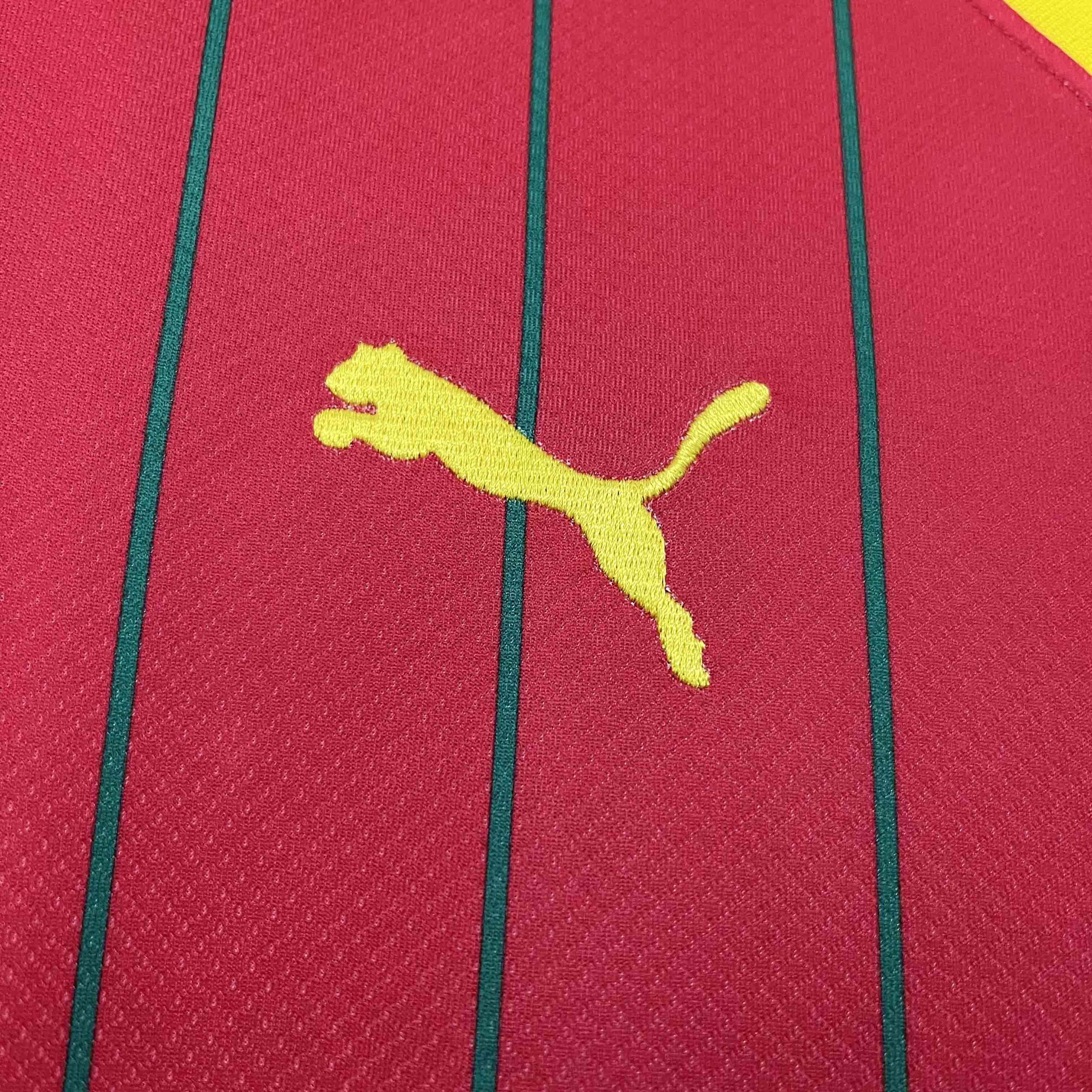 GlobeJersey-Guinea 2024 Home Stadium Jersey - Fans Version