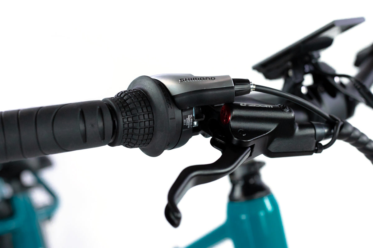 Packa Genie Cargo eBike、mySite、bearsvspackers