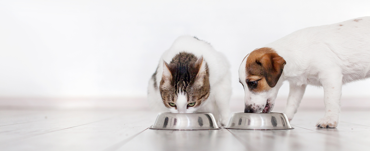 Give your pets the perfect amount of  food with every meal