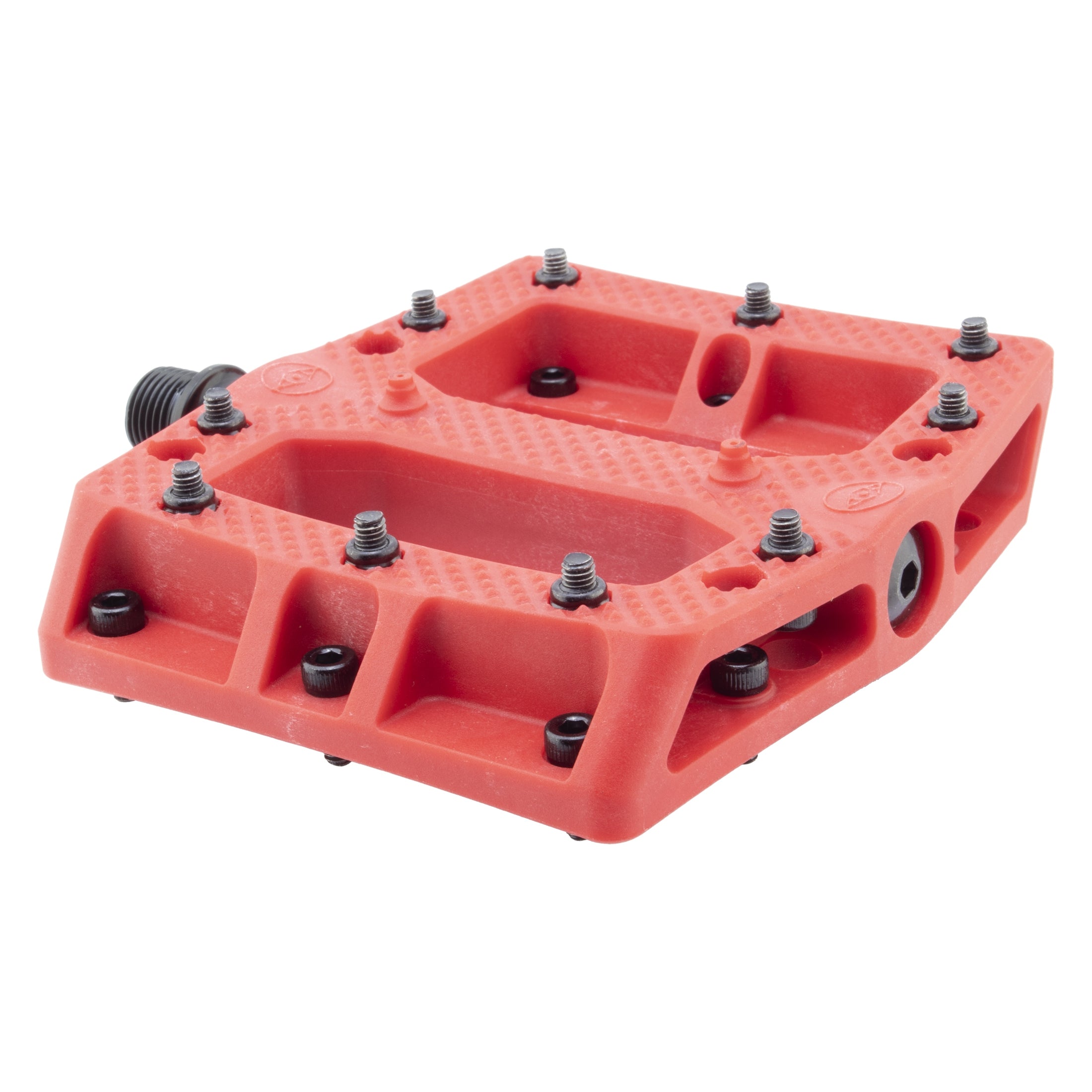 Foot Fetish、mySite、bearsvspackers