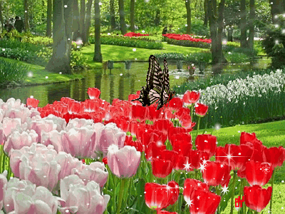 GIF 动态图(3) 自然风景:花:解语动人(梅兰竹菊、牡丹桃花向日葵)【多图欣赏】 - 知乎