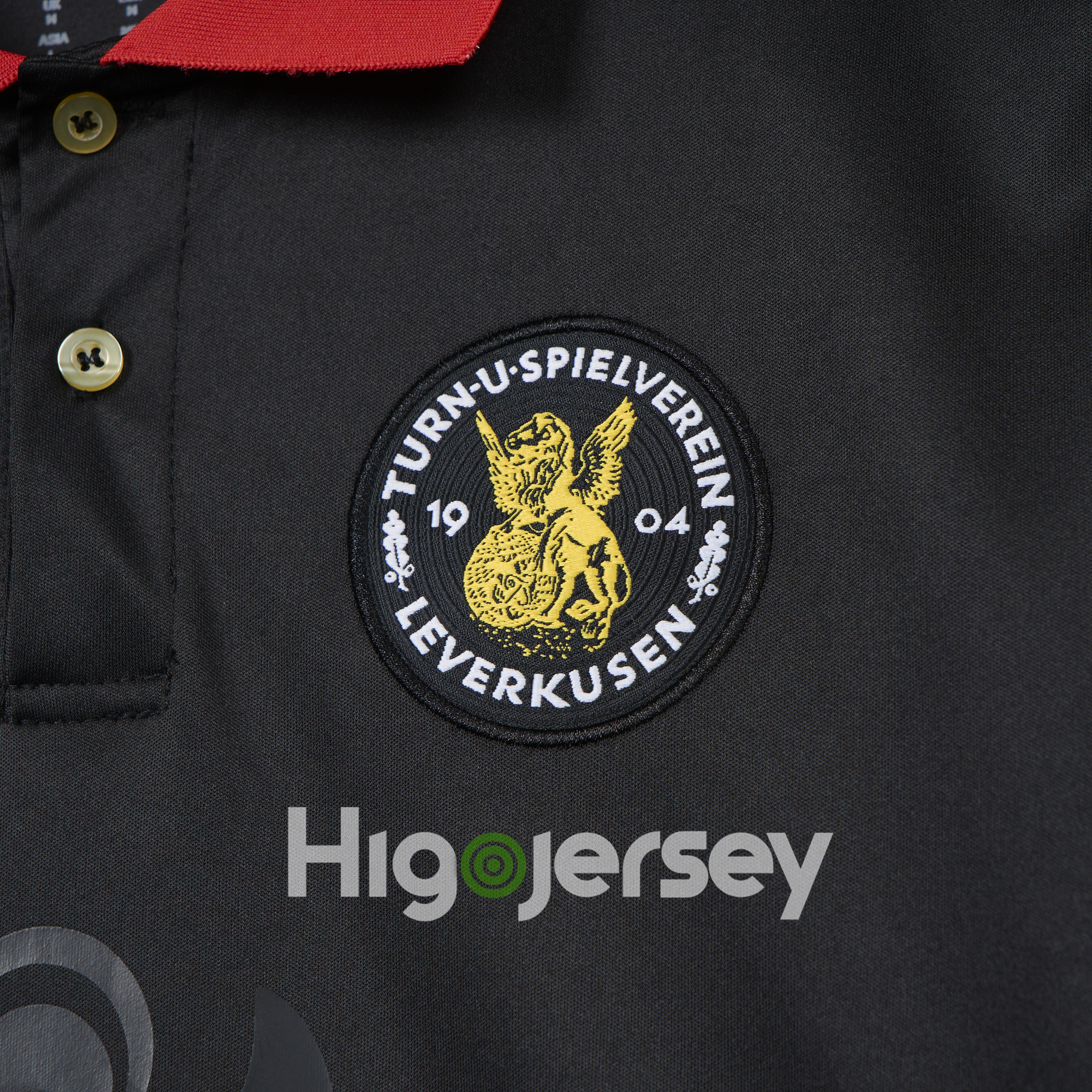 Higojerseys-Bayer 04 Leverkusen 24-25 120th Anniversary Jersey - Fans Version