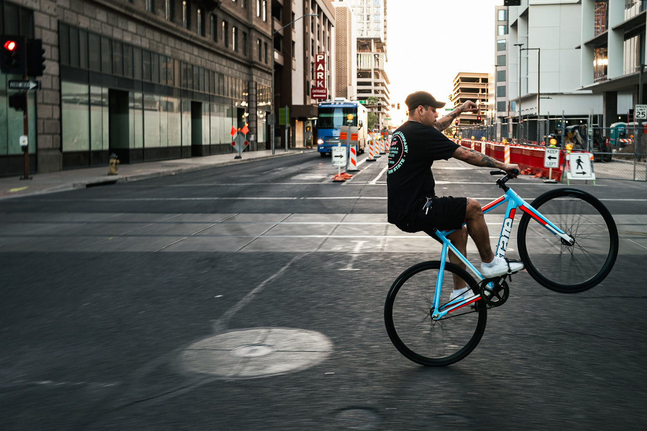 6061 Black Label v3 - Le Mans Livery、mySite、bearsvspackers