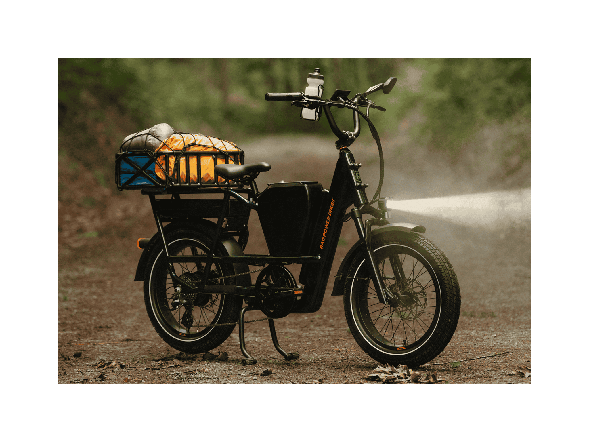 RadRunner™ Max Electric Cargo Utility Bike、mySite、bearsvspackers