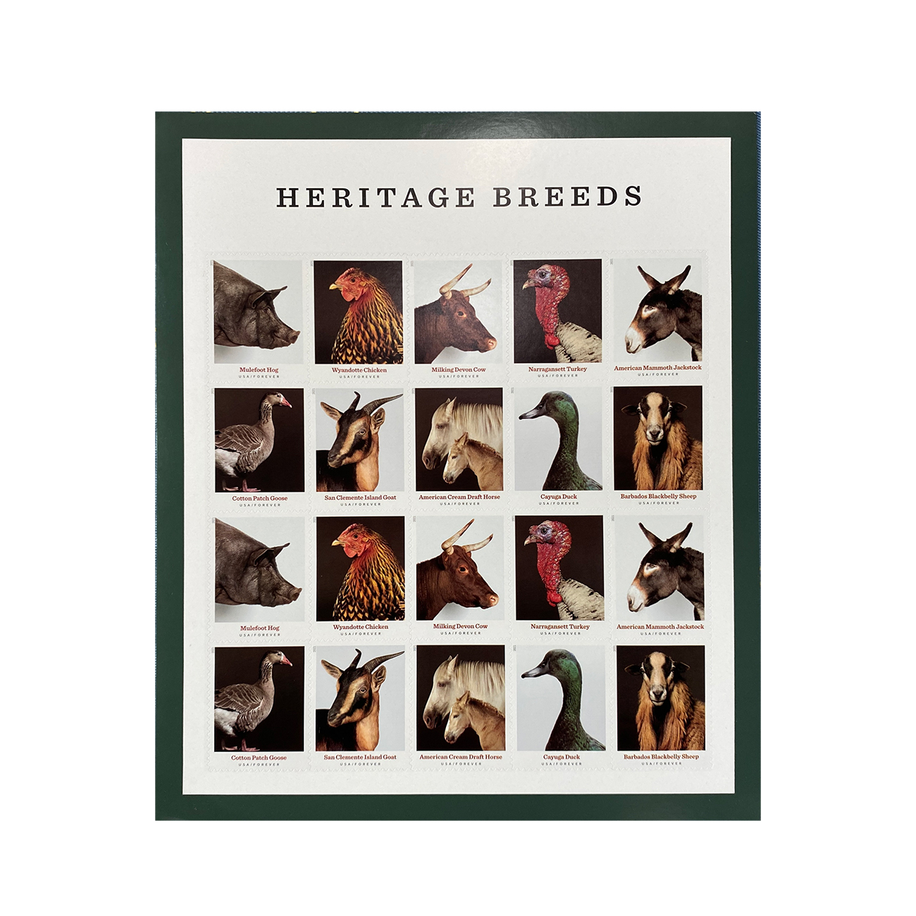 Heritage Breeds Stamps 2021 Forever Postage Stamps