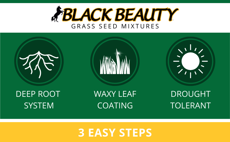 black beauty grass seed mixtures 