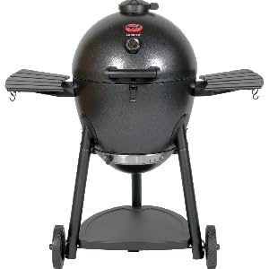 barbecue grill kamado smoker AKORN