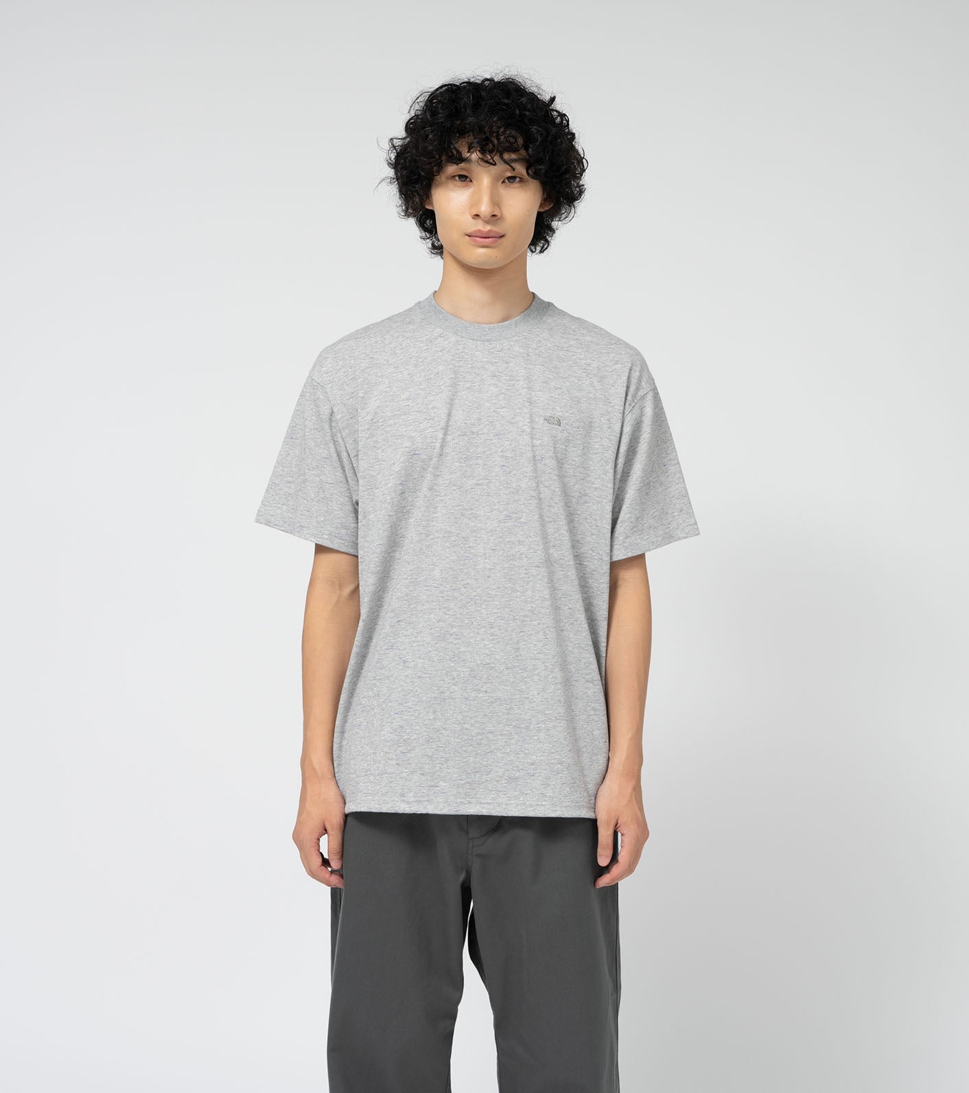 THE NORTH FACE PURPLE LABEL Field Tee  N25SH089 