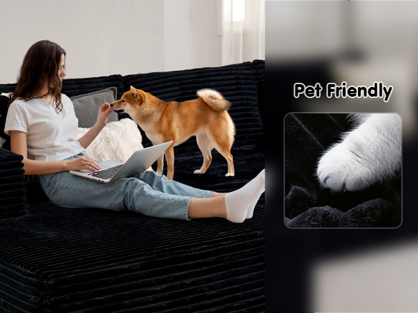 Cloud Sectional Couch with L-Shape Chaise