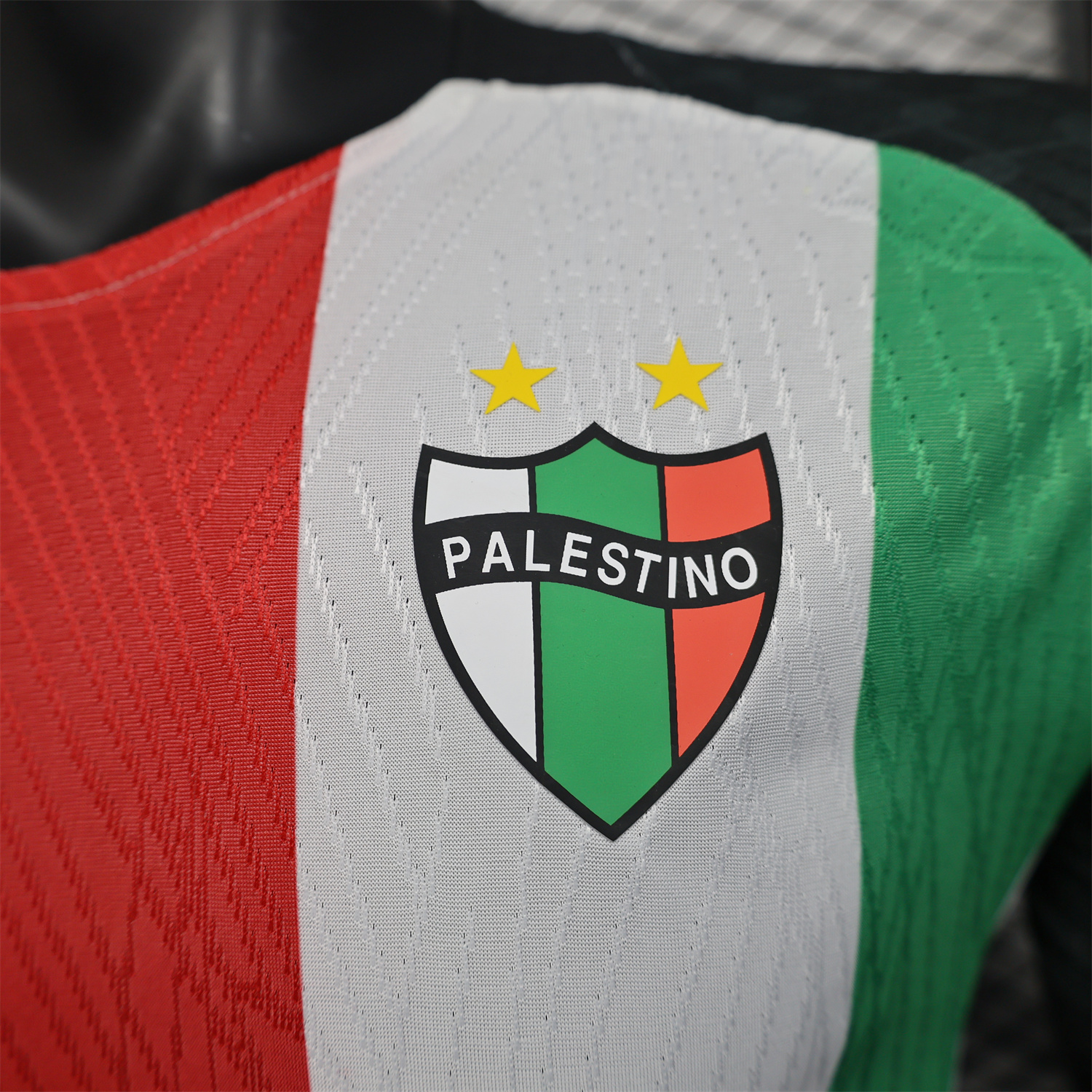 foot-Club Deportivo Palestino 25-26 Home Jersey - Player Version